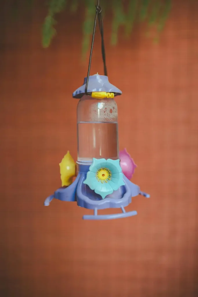 hang a bird feeder from a tree